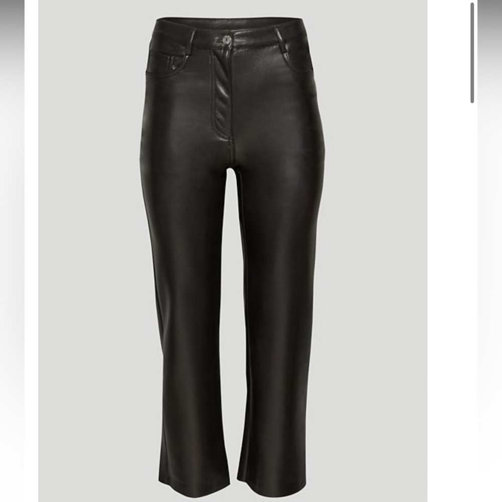 The Melina pant aritzia leather